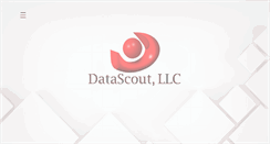 Desktop Screenshot of datascoutllc.com